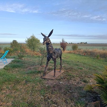 La Fosse Seche Bed & Breakfast Dolus-le-Sec Bagian luar foto