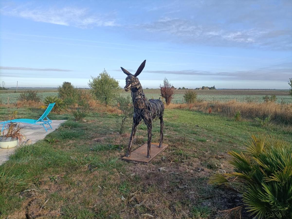La Fosse Seche Bed & Breakfast Dolus-le-Sec Bagian luar foto