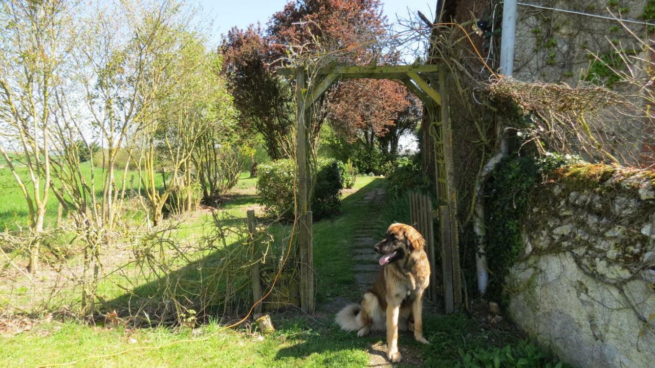 La Fosse Seche Bed & Breakfast Dolus-le-Sec Bagian luar foto